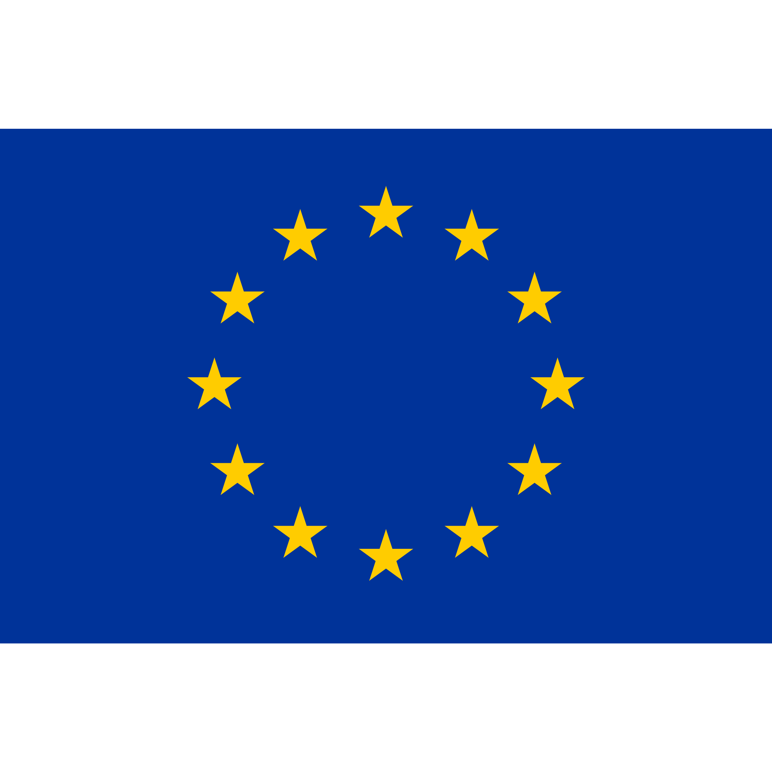 EU Flag